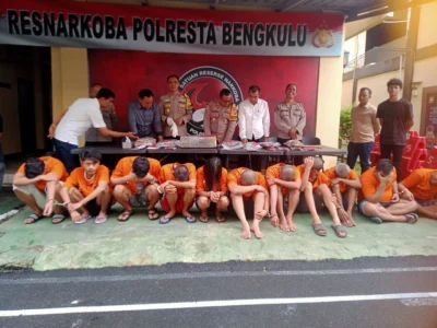 Polisi Tangkap 12 Tersangka Narkoba, 6,8 Kilogram Ganja Disita