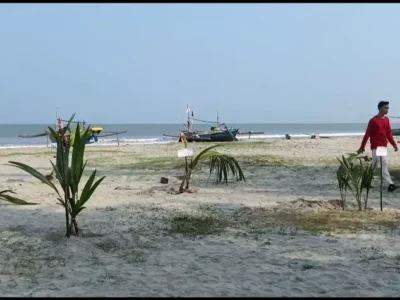 Seribu Bibit Pohon Kelapa Ditanam di Pantai Jakat