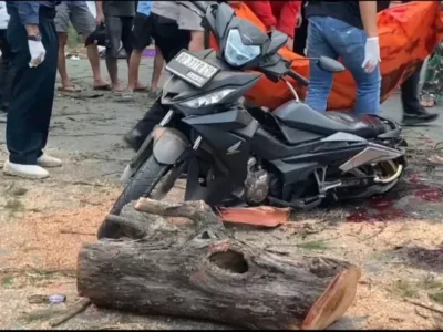 Korban pohon tumbang di kawasan Pantai Panjang