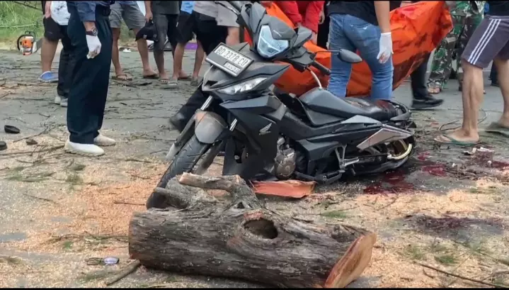 Korban pohon tumbang di kawasan Pantai Panjang