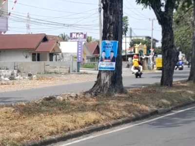 Aktivis Lingkungan Soroti Poster Calon Kepala Daerah di Pohon