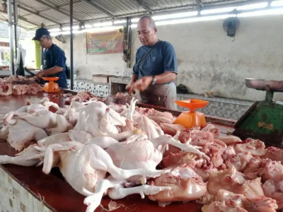 Pedagang Daging Ayam Potong Laporkan Pasutri Asal Sumbar ke Polisi Kasus Penggelapan