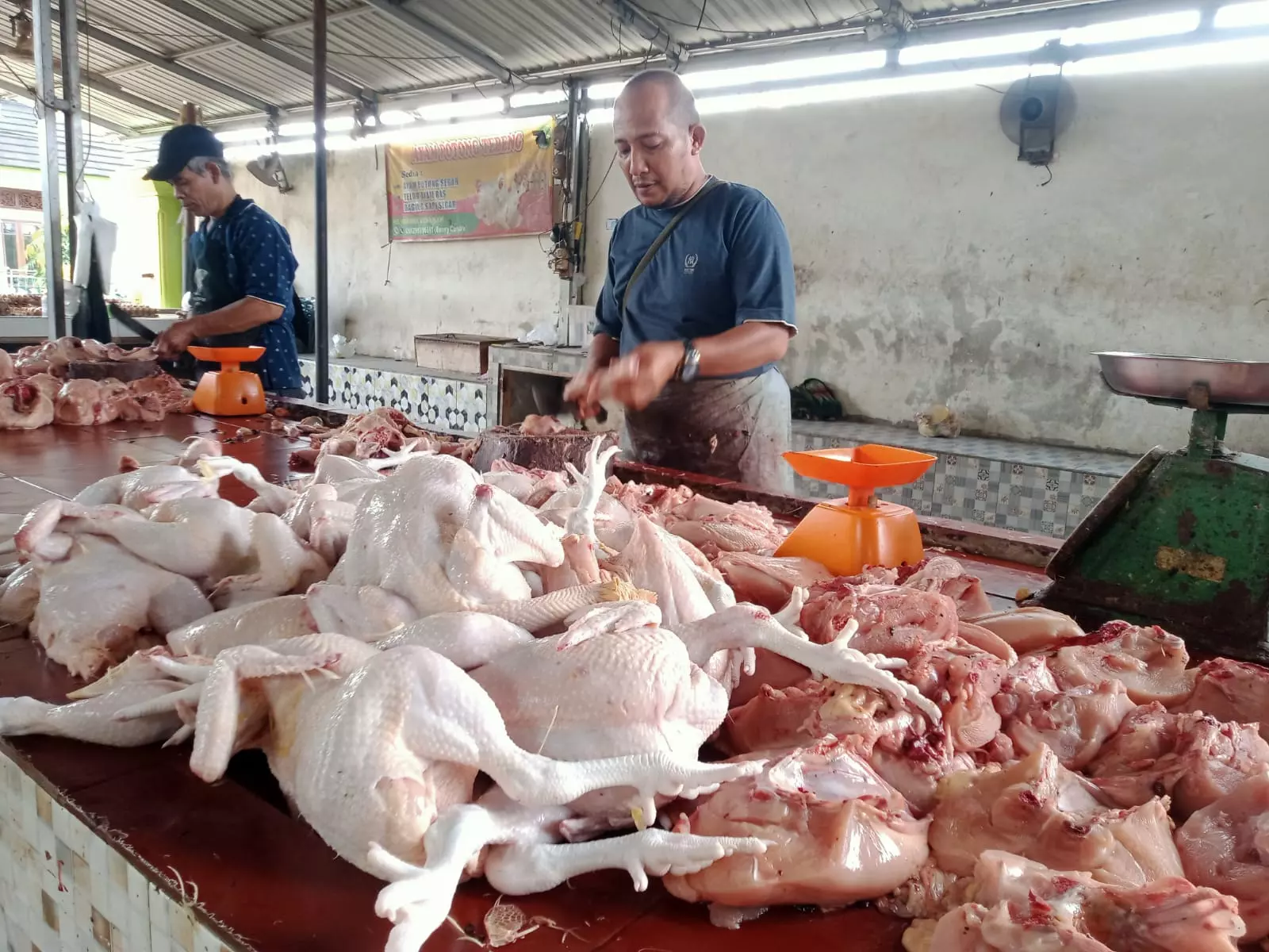 Pedagang Daging Ayam Potong Laporkan Pasutri Asal Sumbar ke Polisi Kasus Penggelapan