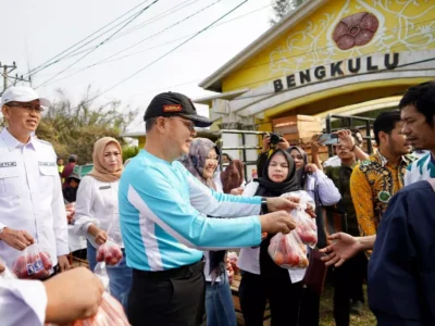 Rohidin Bagikan Tomat Secara Gratis Saat Harga Anjlok