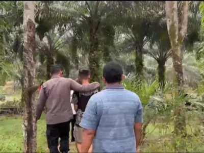 Pelaku Persetubuhan Anak di Pondok Kebun Diringkus Polisi